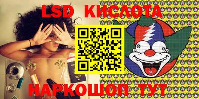 прущие грибы Краснодар