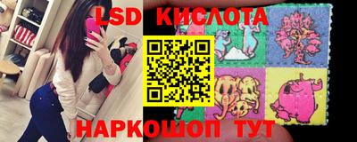 прущие грибы Краснодар