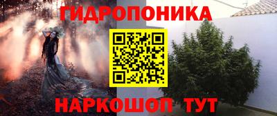прущие грибы Краснодар
