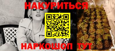 прущие грибы Краснодар